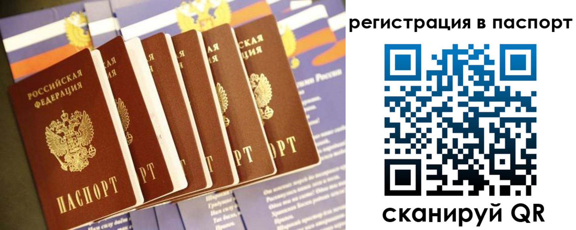 прописка ребенка в Бронницах